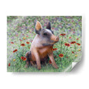 Niña De Las Flores - Marcia Matcham | Cuadro decorativo de Canvas Lab