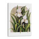 Iris Viñeta - Marcia Matcham | Cuadro decorativo de Canvas Lab