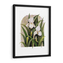 Iris Viñeta - Marcia Matcham | Cuadro decorativo de Canvas Lab