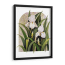 Iris Viñeta - Marcia Matcham | Cuadro decorativo de Canvas Lab