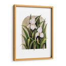 Iris Viñeta - Marcia Matcham | Cuadro decorativo de Canvas Lab