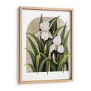 Iris Viñeta - Marcia Matcham | Cuadro decorativo de Canvas Lab