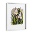 Iris Viñeta - Marcia Matcham | Cuadro decorativo de Canvas Lab