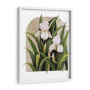 Iris Viñeta - Marcia Matcham | Cuadro decorativo de Canvas Lab