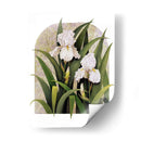 Iris Viñeta - Marcia Matcham | Cuadro decorativo de Canvas Lab