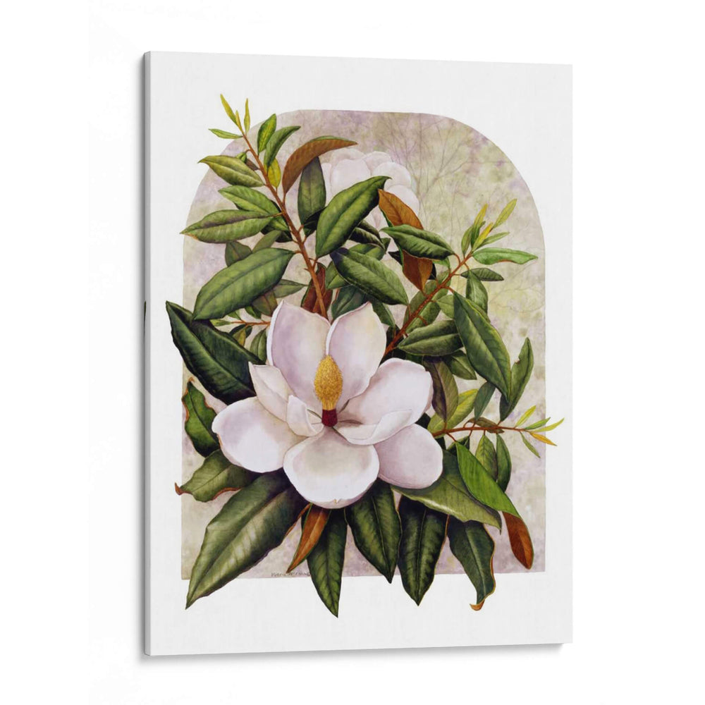Viñeta Magnolia - Marcia Matcham | Cuadro decorativo de Canvas Lab