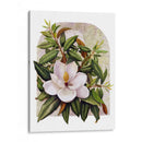 Viñeta Magnolia - Marcia Matcham | Cuadro decorativo de Canvas Lab