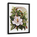 Viñeta Magnolia - Marcia Matcham | Cuadro decorativo de Canvas Lab