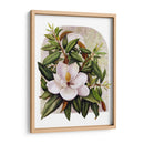 Viñeta Magnolia - Marcia Matcham | Cuadro decorativo de Canvas Lab