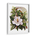 Viñeta Magnolia - Marcia Matcham | Cuadro decorativo de Canvas Lab