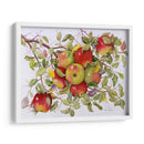 Manzanas - Marcia Matcham | Cuadro decorativo de Canvas Lab