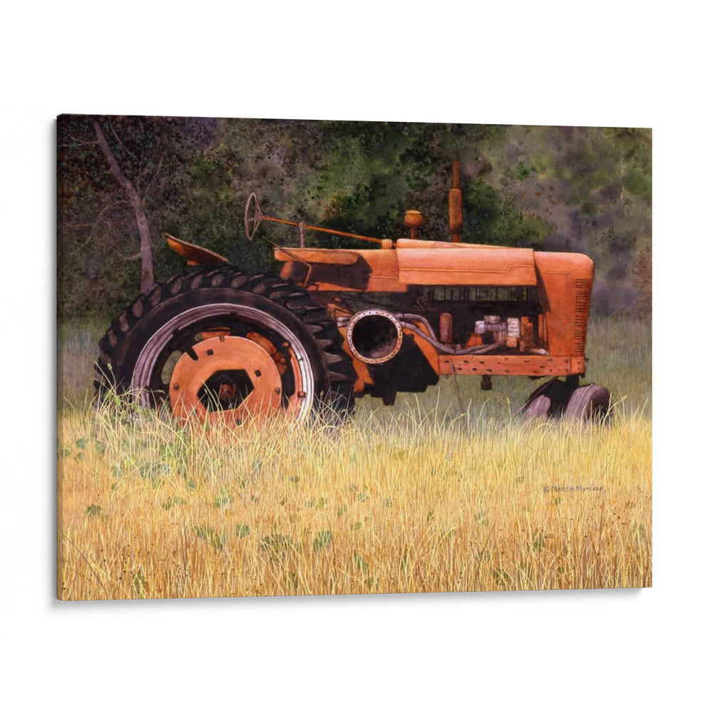 Olvidado - Marcia Matcham | Cuadro decorativo de Canvas Lab
