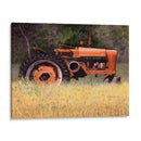 Olvidado - Marcia Matcham | Cuadro decorativo de Canvas Lab