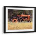 Olvidado - Marcia Matcham | Cuadro decorativo de Canvas Lab