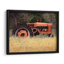 Olvidado - Marcia Matcham | Cuadro decorativo de Canvas Lab