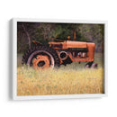 Olvidado - Marcia Matcham | Cuadro decorativo de Canvas Lab