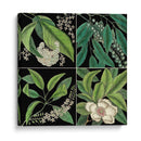 Gráfica Botánica Grid I - Mark Catesby | Cuadro decorativo de Canvas Lab
