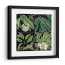 Gráfica Botánica Grid I - Mark Catesby | Cuadro decorativo de Canvas Lab