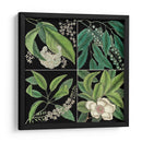 Gráfica Botánica Grid I - Mark Catesby | Cuadro decorativo de Canvas Lab