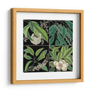 Gráfica Botánica Grid I - Mark Catesby | Cuadro decorativo de Canvas Lab