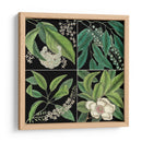 Gráfica Botánica Grid I - Mark Catesby | Cuadro decorativo de Canvas Lab