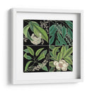 Gráfica Botánica Grid I - Mark Catesby | Cuadro decorativo de Canvas Lab