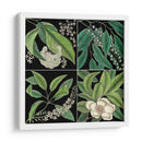 Gráfica Botánica Grid I - Mark Catesby | Cuadro decorativo de Canvas Lab