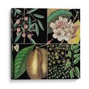 Gráfica Botánica Gráfica Ii - Mark Catesby | Cuadro decorativo de Canvas Lab