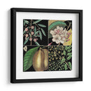 Gráfica Botánica Gráfica Ii - Mark Catesby | Cuadro decorativo de Canvas Lab