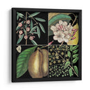 Gráfica Botánica Gráfica Ii - Mark Catesby | Cuadro decorativo de Canvas Lab