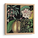 Gráfica Botánica Gráfica Ii - Mark Catesby | Cuadro decorativo de Canvas Lab