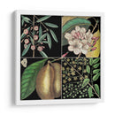Gráfica Botánica Gráfica Ii - Mark Catesby | Cuadro decorativo de Canvas Lab