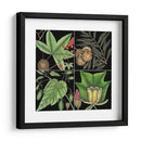 Gráfica Botánica Gráfica Iii - Mark Catesby | Cuadro decorativo de Canvas Lab