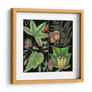 Gráfica Botánica Gráfica Iii - Mark Catesby | Cuadro decorativo de Canvas Lab