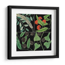 Gráfica Botánica Grid Iv - Mark Catesby | Cuadro decorativo de Canvas Lab