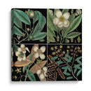 Gráfico Botánico Gráfico V - Mark Catesby | Cuadro decorativo de Canvas Lab