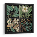 Gráfico Botánico Gráfico V - Mark Catesby | Cuadro decorativo de Canvas Lab