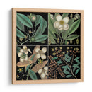 Gráfico Botánico Gráfico V - Mark Catesby | Cuadro decorativo de Canvas Lab