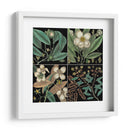 Gráfico Botánico Gráfico V - Mark Catesby | Cuadro decorativo de Canvas Lab