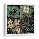Gráfico Botánico Gráfico V - Mark Catesby | Cuadro decorativo de Canvas Lab