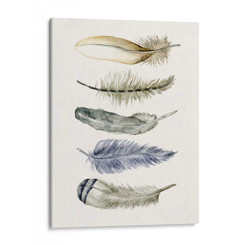 Pluma Tribal Ii - Melissa Wang | Cuadro decorativo de Canvas Lab