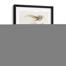 Pluma Tribal Ii - Melissa Wang | Cuadro decorativo de Canvas Lab