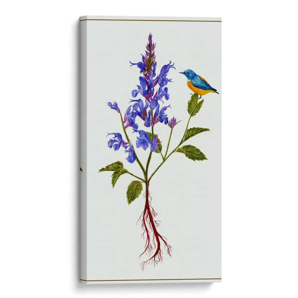 Salvia Miltiorrhiza I - Melissa Wang | Cuadro decorativo de Canvas Lab
