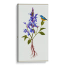 Salvia Miltiorrhiza I - Melissa Wang | Cuadro decorativo de Canvas Lab