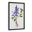 Salvia Miltiorrhiza I - Melissa Wang | Cuadro decorativo de Canvas Lab