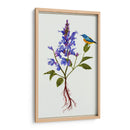 Salvia Miltiorrhiza I - Melissa Wang | Cuadro decorativo de Canvas Lab