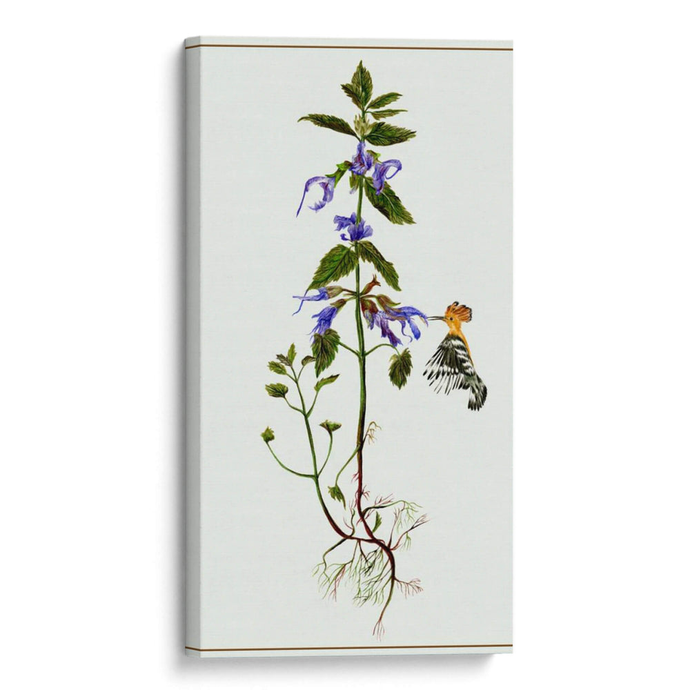 Salvia Miltiorrhiza Ii - Melissa Wang | Cuadro decorativo de Canvas Lab
