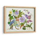 Hipnotizar - Melissa Wang | Cuadro decorativo de Canvas Lab