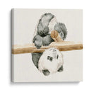 Bebé Panda Ii - Melissa Wang | Cuadro decorativo de Canvas Lab