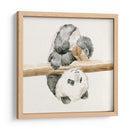 Bebé Panda Ii - Melissa Wang | Cuadro decorativo de Canvas Lab